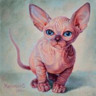 Картина-постер: Котёнок сфинкс