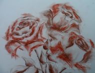Розы сангиной на бумаге - абстракция