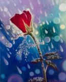 Красная роза и дождь
