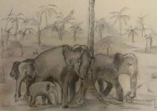 La familia de elefantes africanos