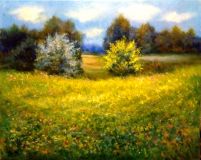 "Flowering meadow"