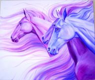 Púrpura caballo