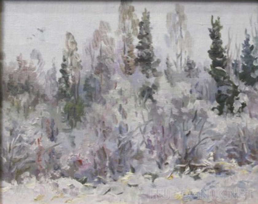 The painting "snow Fell" by H. V. Shvetsov m 20x25