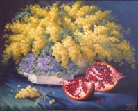 still life with pomegranate and Mimosa