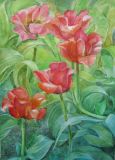 "Los tulipanes"