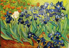 La Copia De Van Gogh Iris