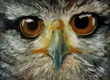 Глаза орла