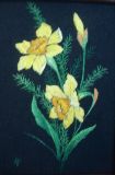The "Miniature Daffodils"