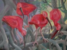 "Los ibis rojos"