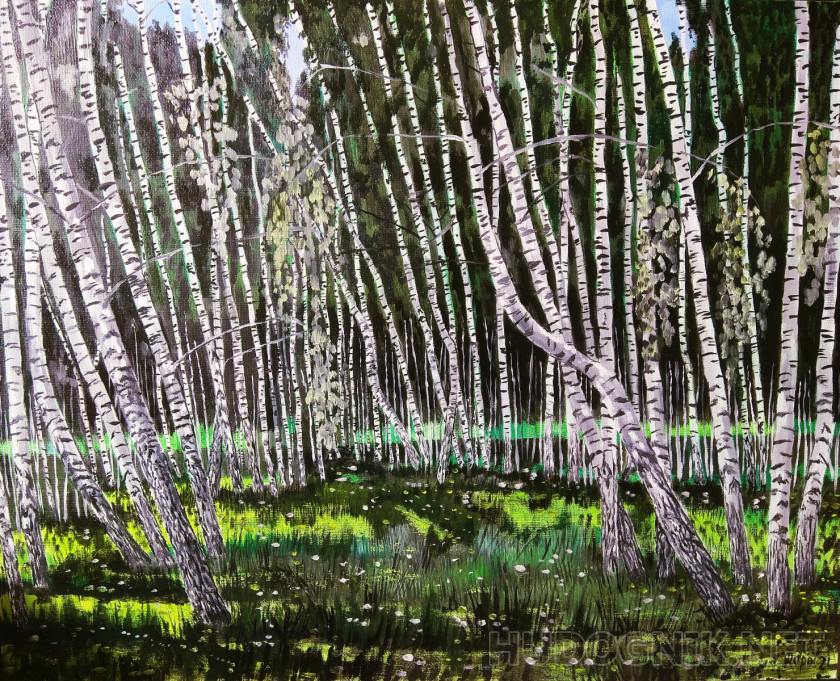 Birches by the swamp