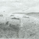 Высадка десанта на остров Шумшу