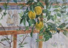 "A greenhouse in Tsaritsyno"