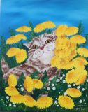 A kitten in dandelions