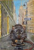 Rats of New York