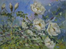 blooming rosehip