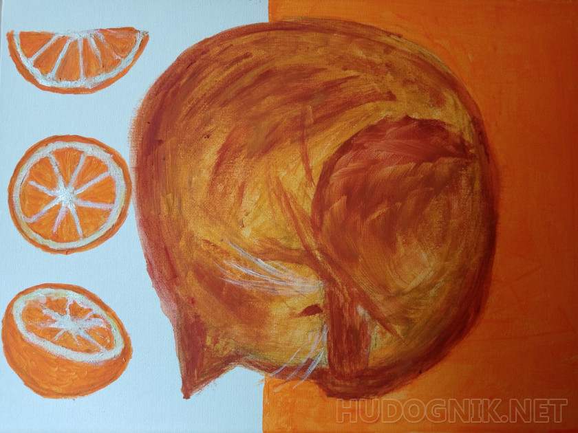 Кот и апельсины