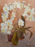 Orquídeas blancas