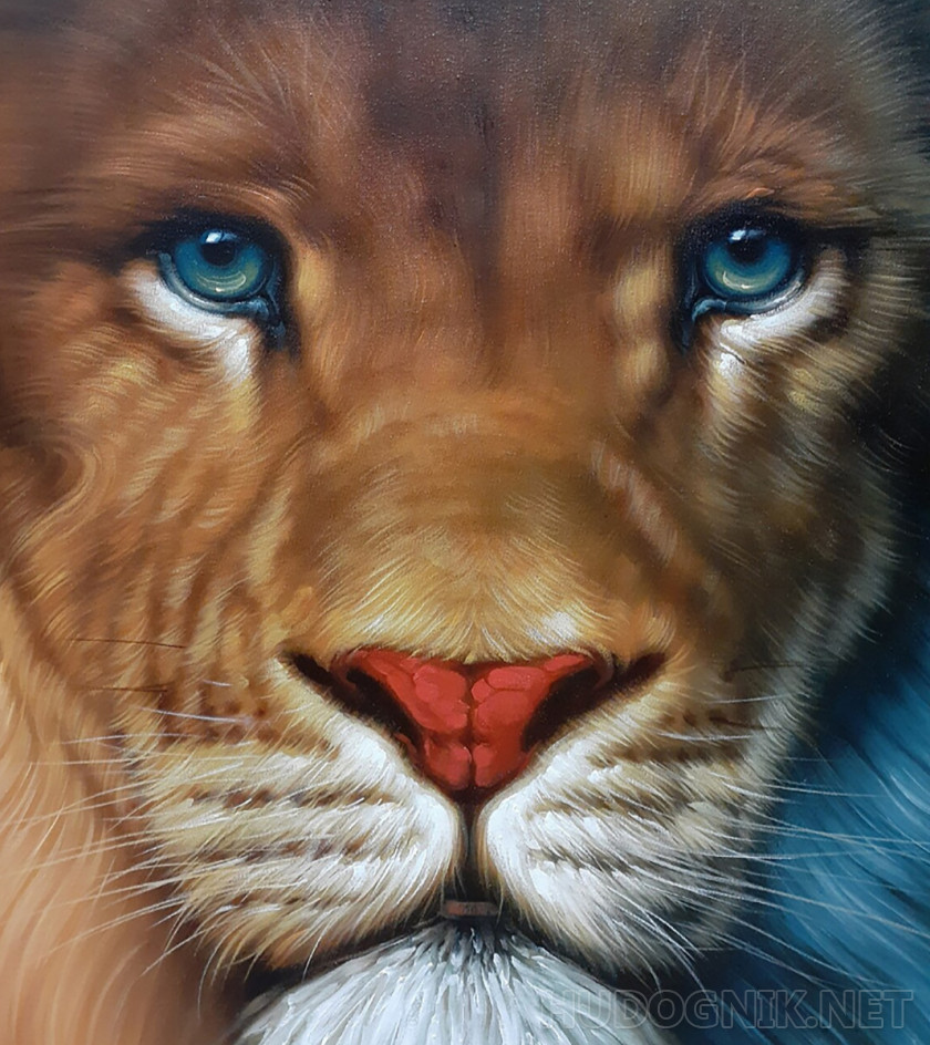 La mirada del León