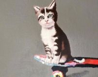 Cat on scateboard