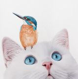 Gato con pájaro