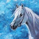 Snow -white horse