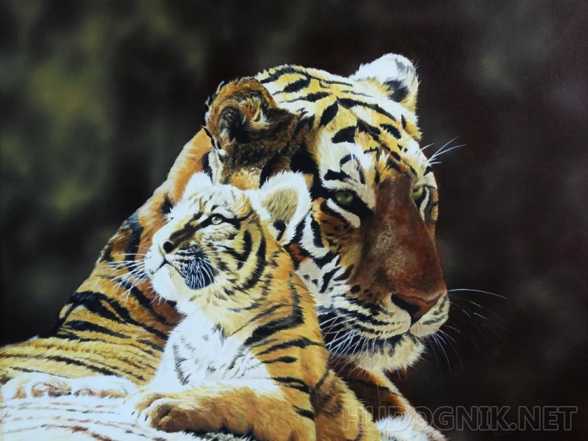 Тигрица и детеныш