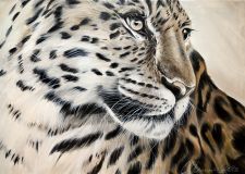 Портрет леопарда