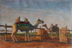 Camels rest (sketch)