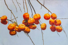 Persimmon against the sky