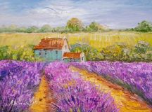 A house in lavender fields