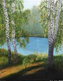 Birch trees on the lakeshore