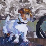 Jack Russell Terrier. A la espera del anfitrión N3