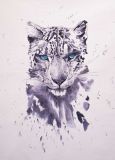 Snow Leopard. Wild Cats Series