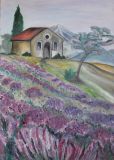 House in a lavender field