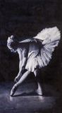 Ballerina. Grace and grace N2