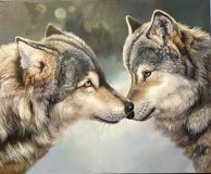 Wolf tenderness