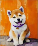 shiba-inu