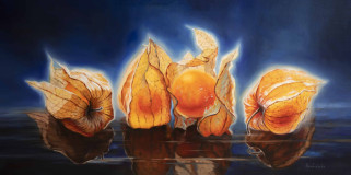 Sunshine Physalis