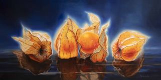 Solar Physalis