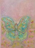 "Cintz Butterfly"