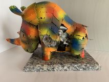 Rainbow rhinoceros