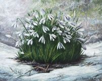 The snowdrops.