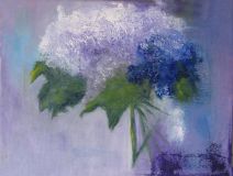 Embrace of Hydrangeas