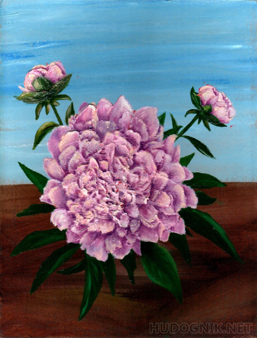 Peony on a blue