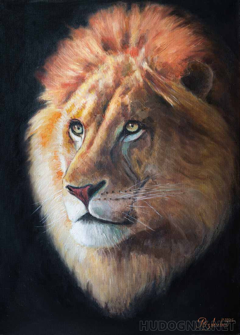 Líder de Safari