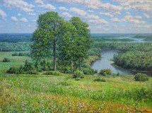 Día de verano. Vista del Volga.