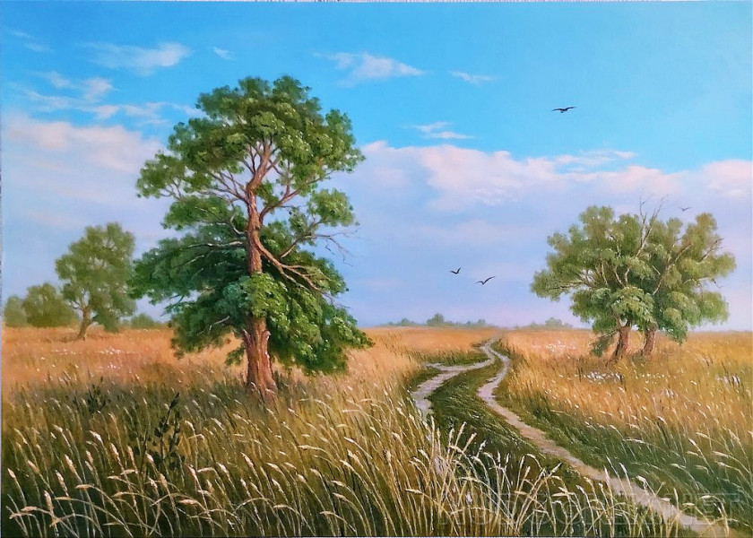 The road to the field