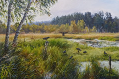 Crows