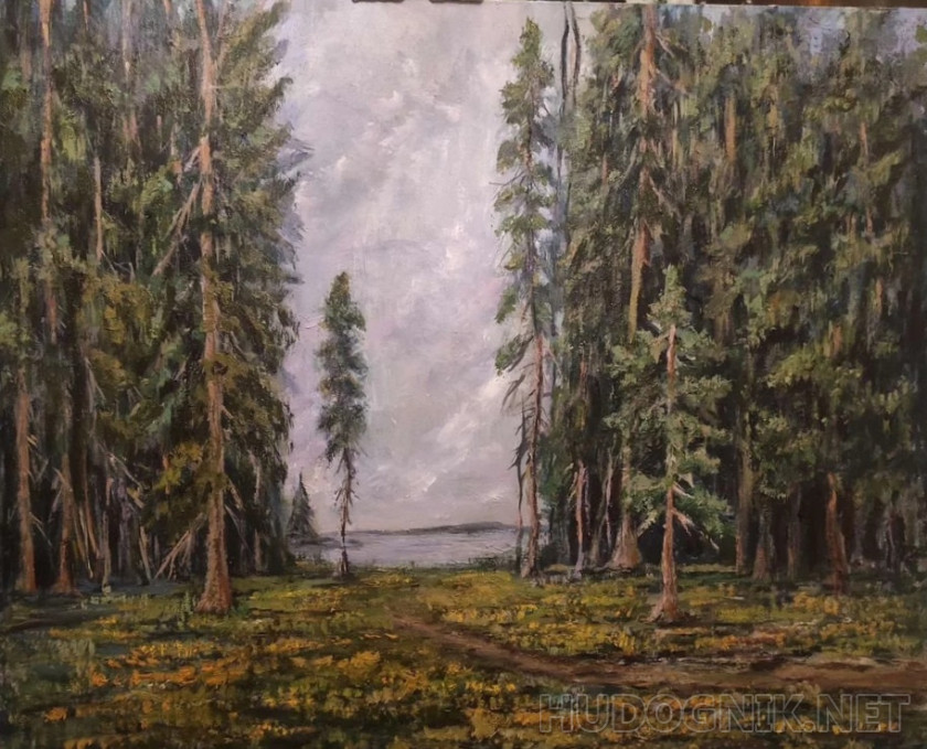 Сосны