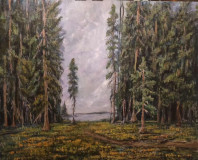 pine trees
